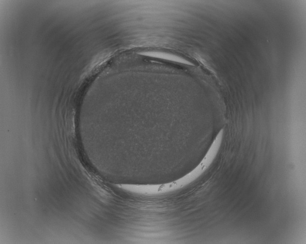 X0000078300685200611172149