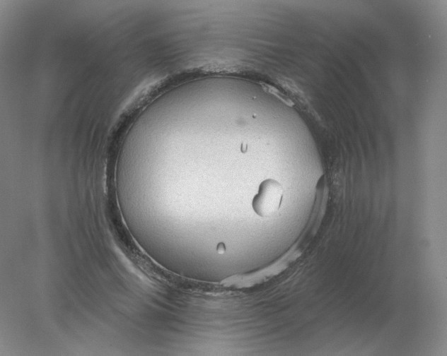 X0000078300686200611172149