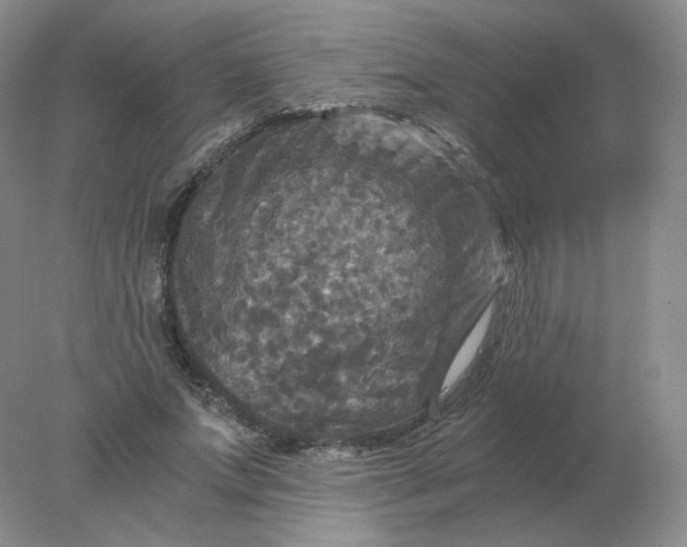 X0000078300687200611172149