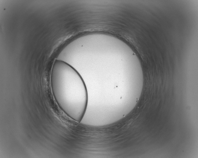 X0000078300688200611172149