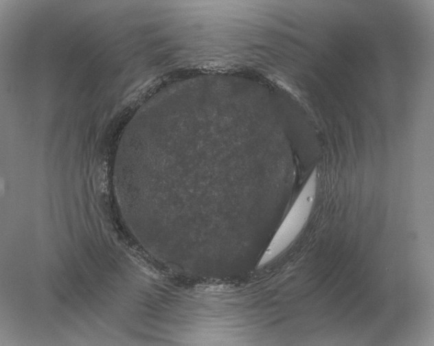 X0000078300689200611172149