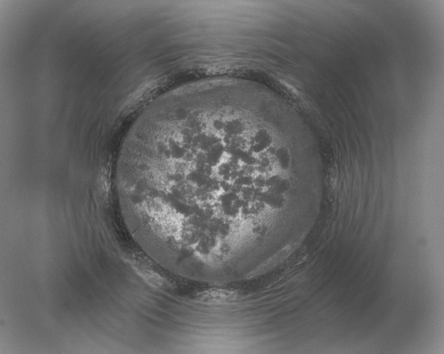 X0000078300691200611172149