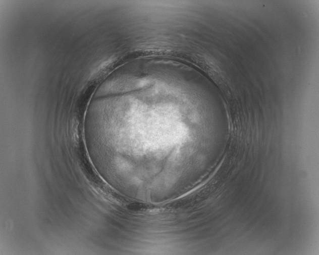 X0000078300692200611172149