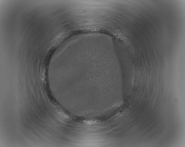 X0000078300693200611172148