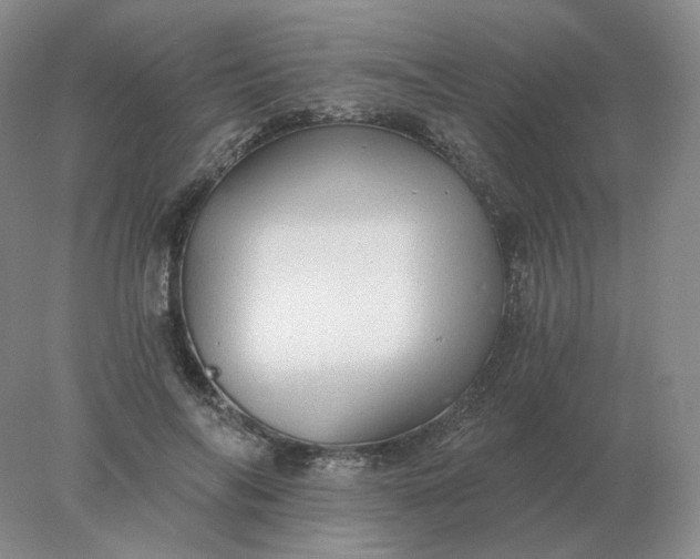 X0000078300694200611172148