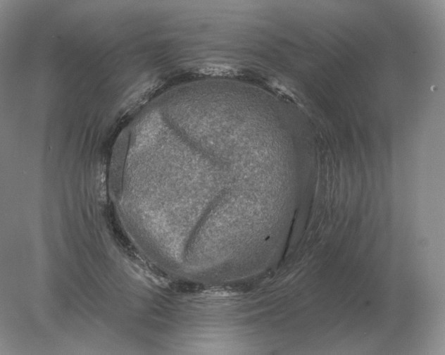 X0000078300696200611172148