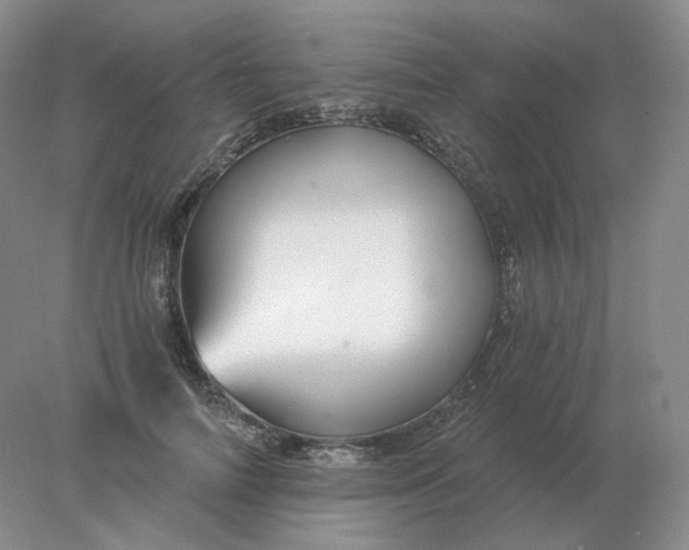 X0000078300698200611172148