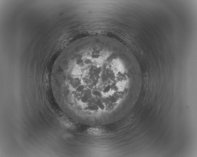 X0000078300699200611172148