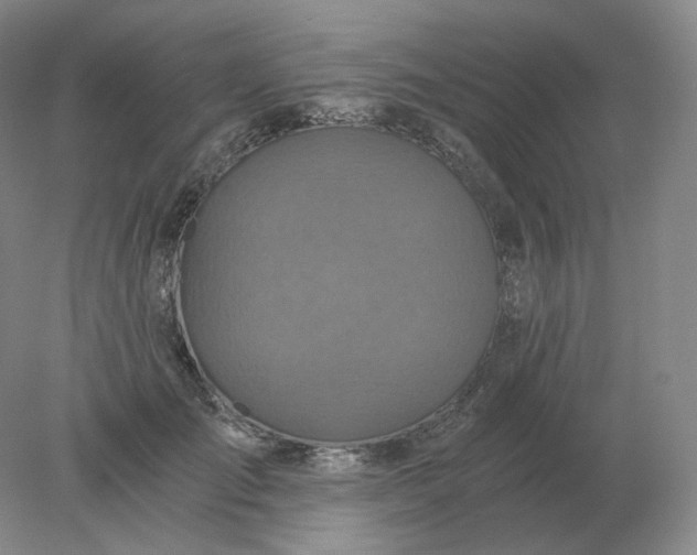 X0000078300701200611172148