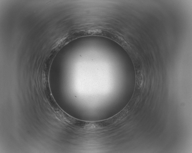 X0000078300704200611172148