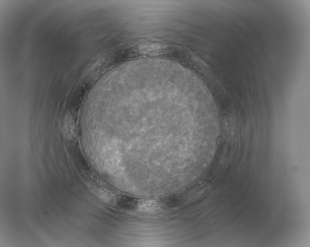 X0000078300705200611172148