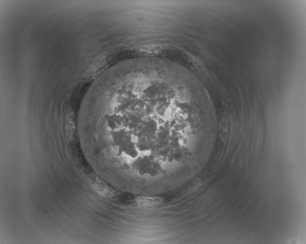 X0000078300707200611172148