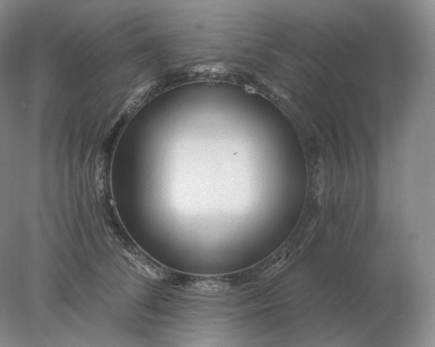 X0000078300708200611172148