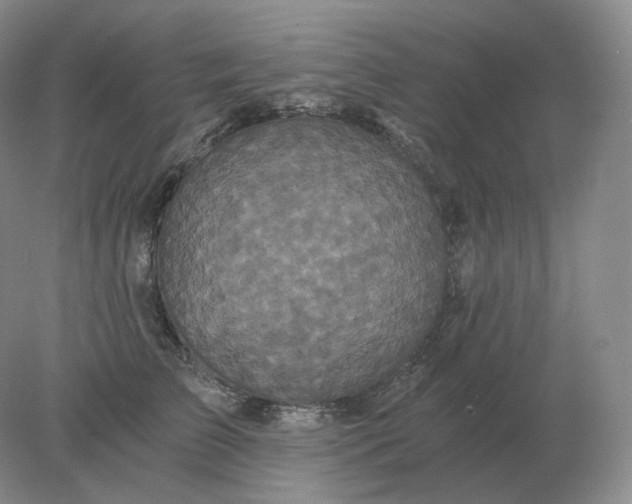 X0000078300709200611172148