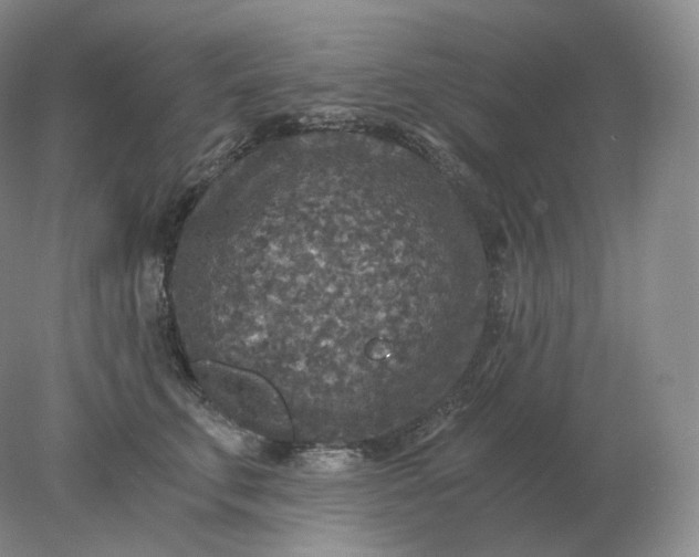 X0000078300711200611172148