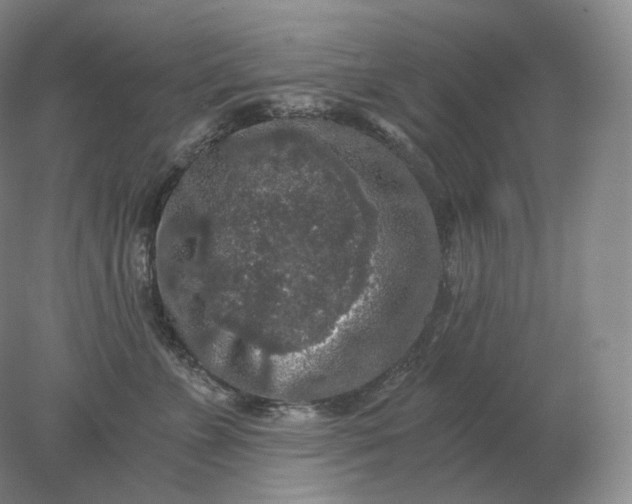 X0000078300715200611172148