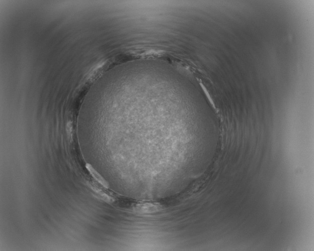 X0000078300716200611172148