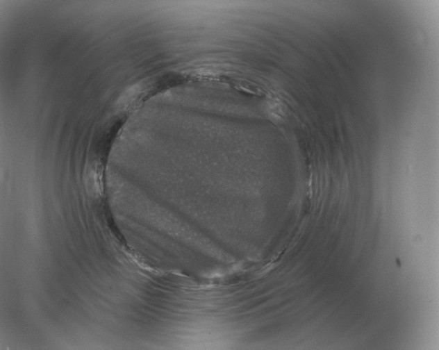 X0000078300718200611172148