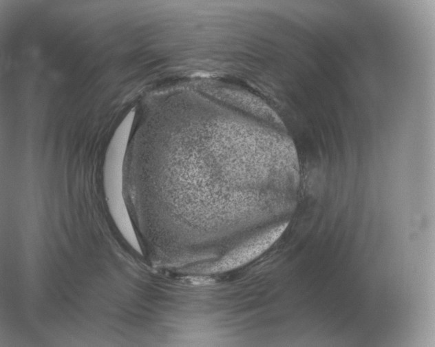 X0000078300719200611172148