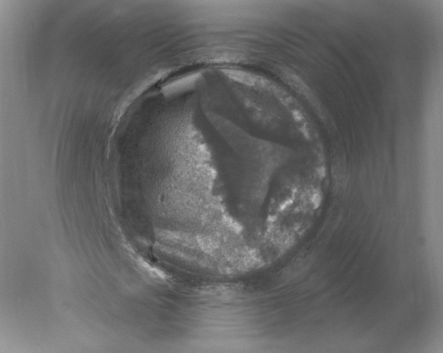 X0000078300721200611172147