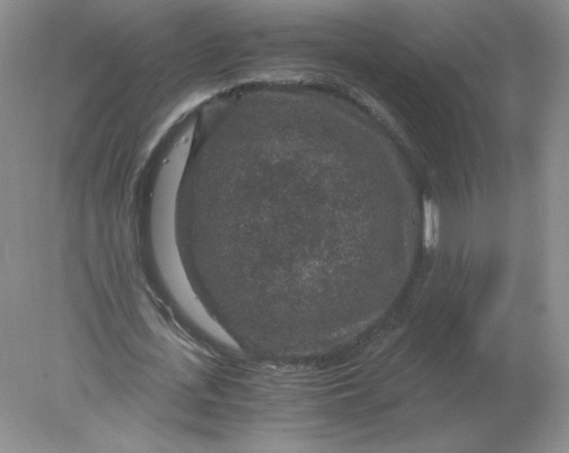 X0000078300723200611172147