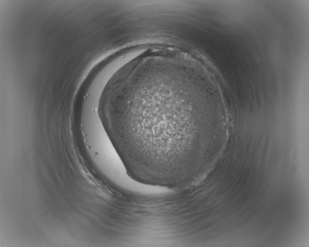 X0000078300724200611172147