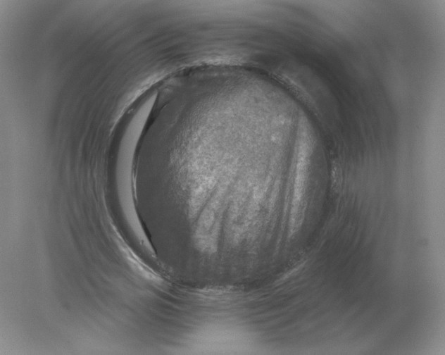 X0000078300725200611172147