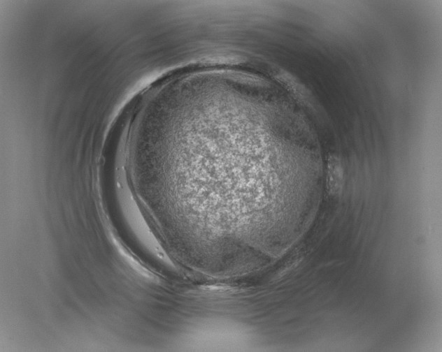 X0000078300726200611172147