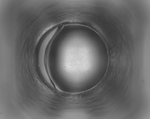 X0000078300727200611172147