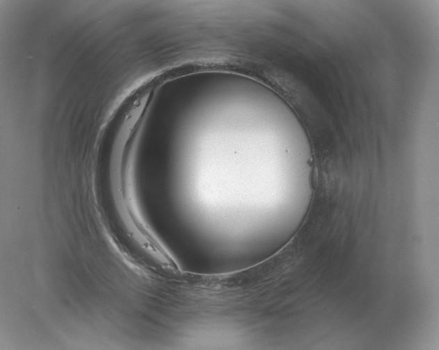 X0000078300728200611172147