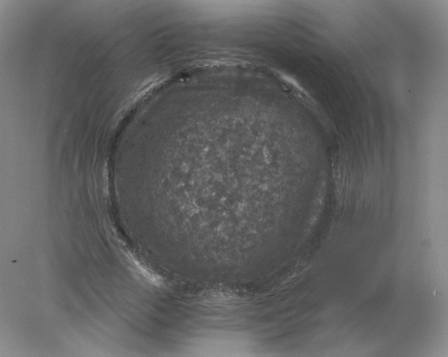 X0000078300729200611172147