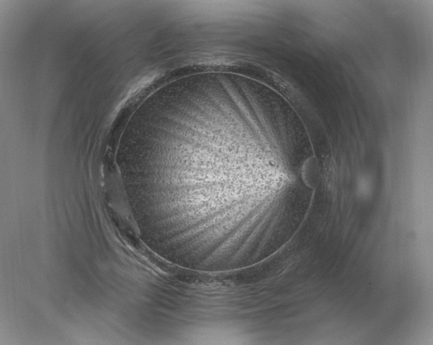 X0000078300731200611172147