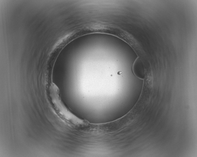 X0000078300732200611172147