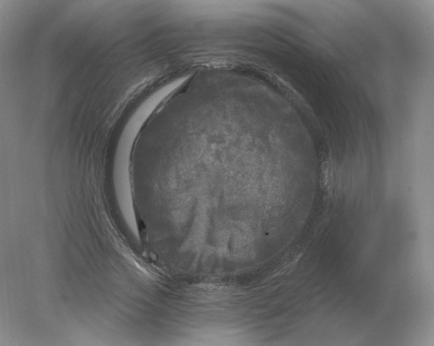 X0000078300733200611172147