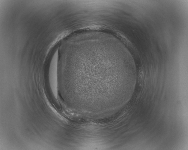 X0000078300734200611172147