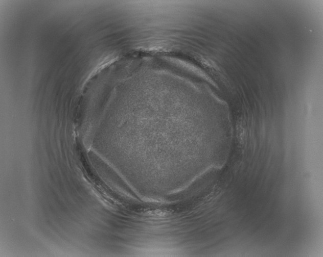 X0000078300735200611172147