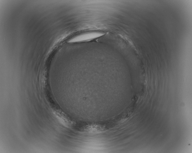 X0000078300736200611172147