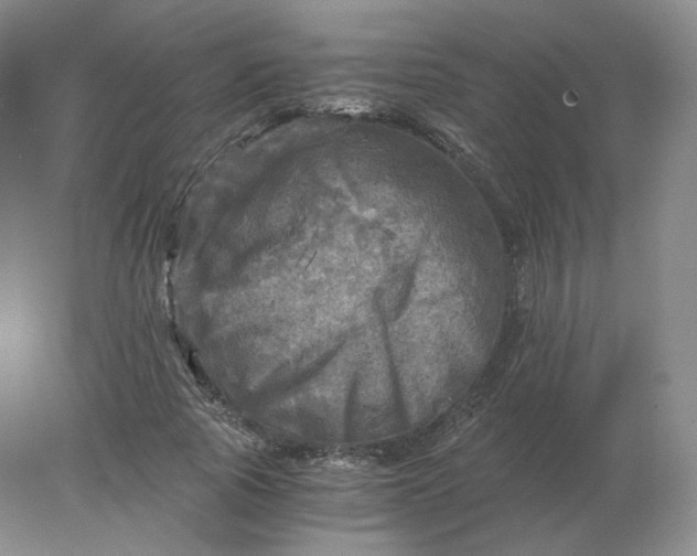 X0000078300737200611172147