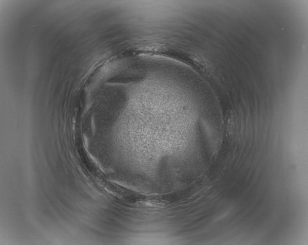 X0000078300739200611172148