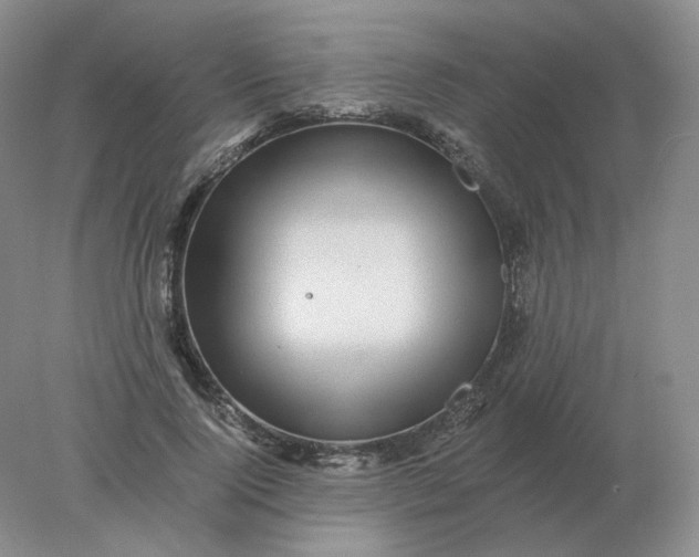 X0000078300740200611172148