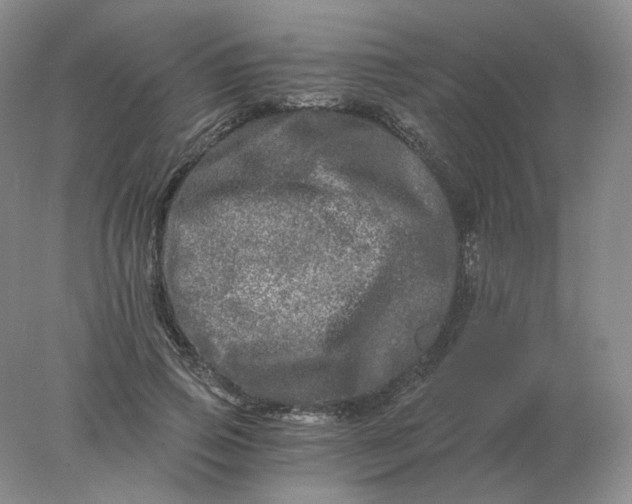 X0000078300741200611172148