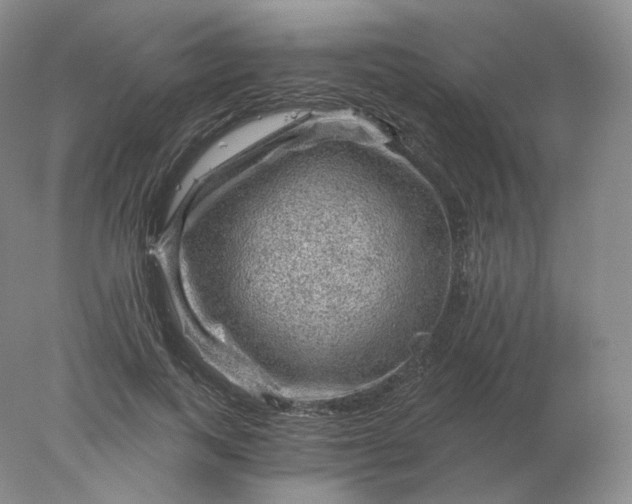 X0000078300743200611172148