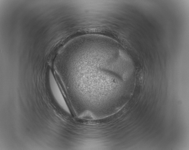 X0000078300746200611172148