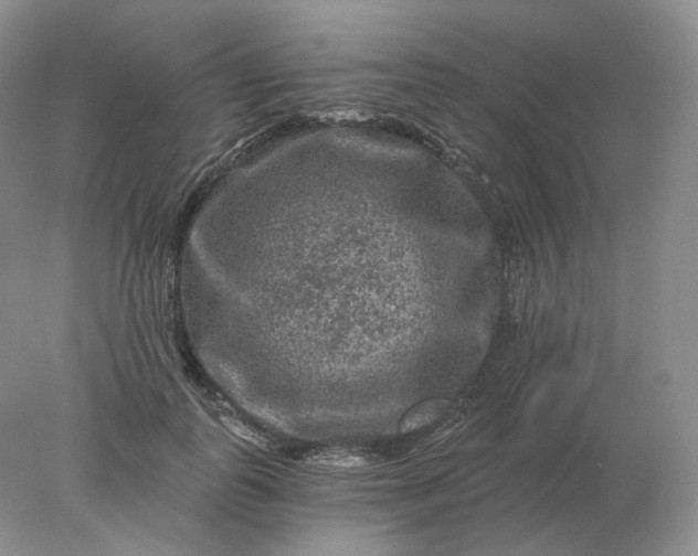 X0000078300747200611172148