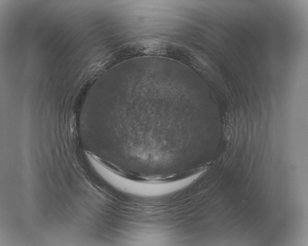 X0000078300748200611172148