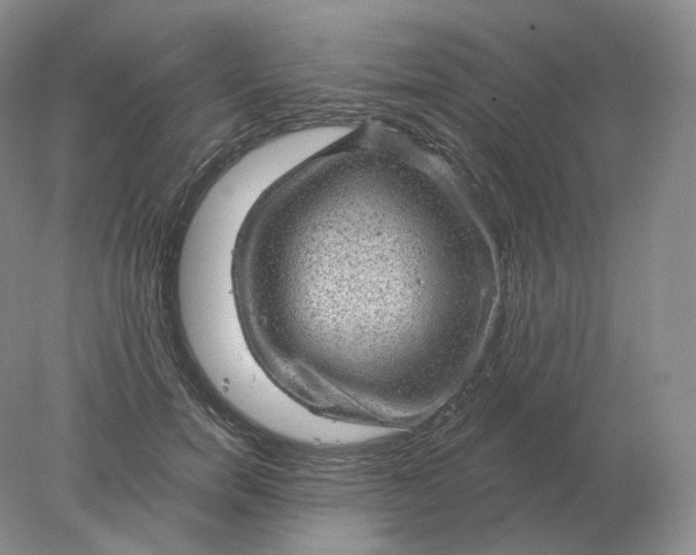 X0000078300750200611172148