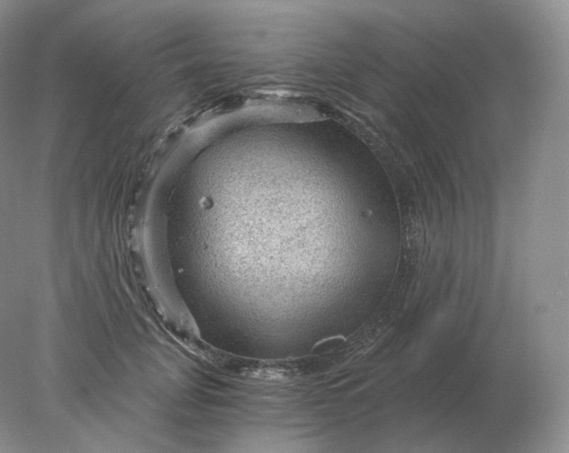 X0000078300751200611172148