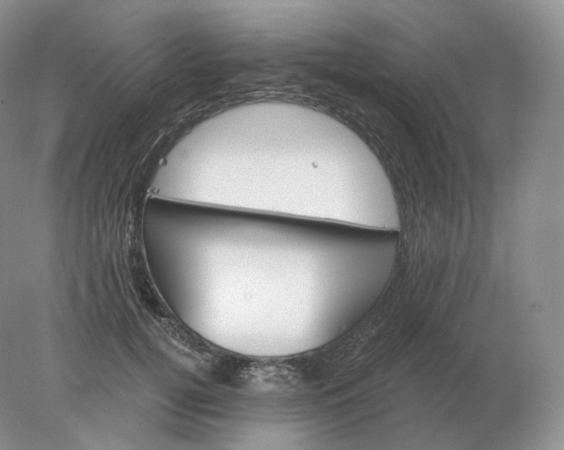 X0000078300752200611172148