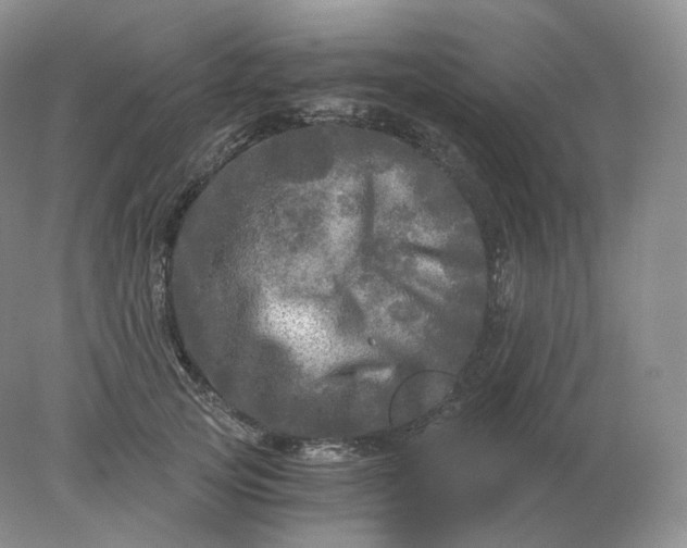 X0000078300753200611172148