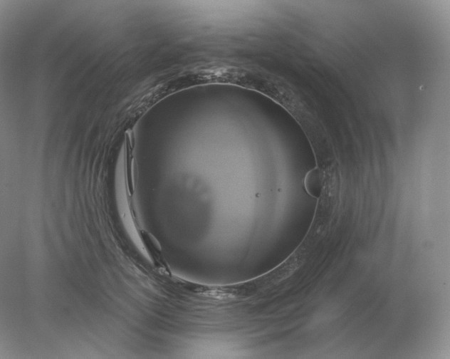 X0000078300754200611172148